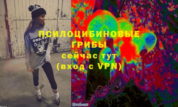 дмт Рославль