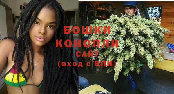 дмт Рославль